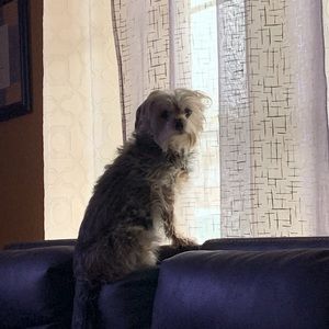 Meet your Posher, Araceli